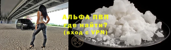 прущие крисы Гусев